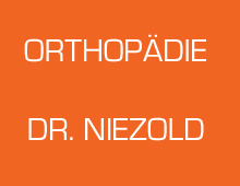 Werdegang Dr. Dirk Niezold